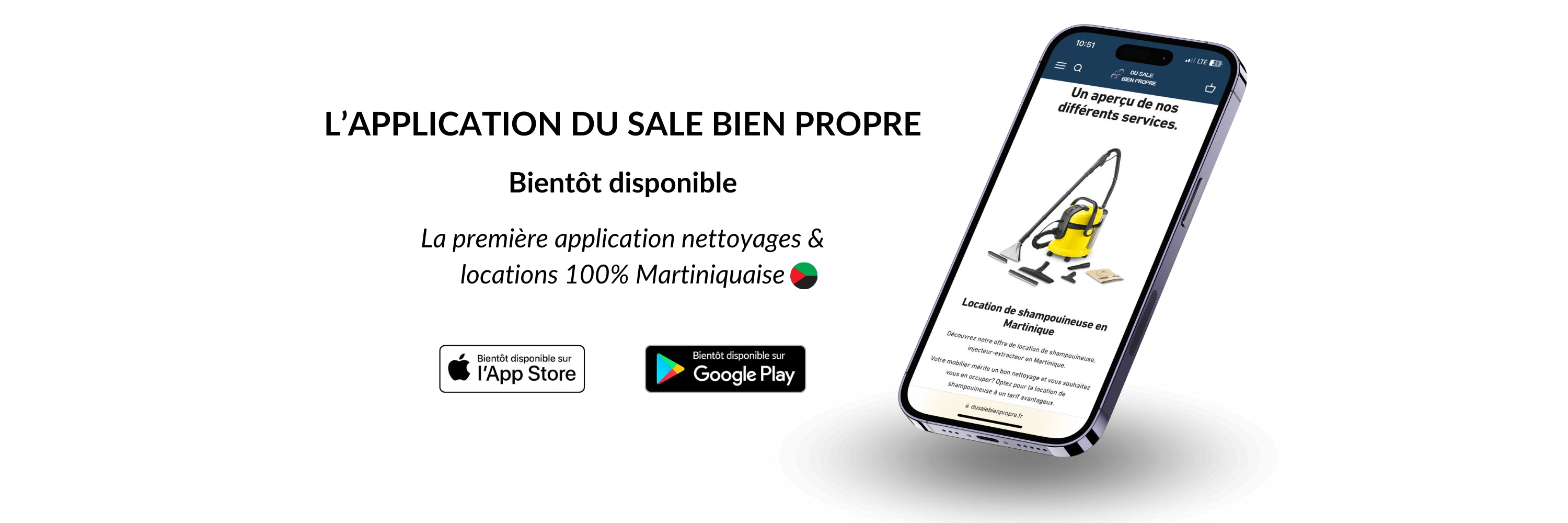 application nettoyage en martinique